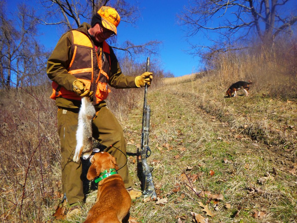 Passion Pursued Smithfield’s Fisher, national authority on rabbit hunting with beagles, reveals